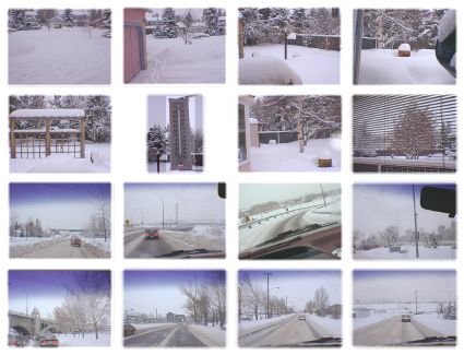 Pictures of Calgary in the Winter